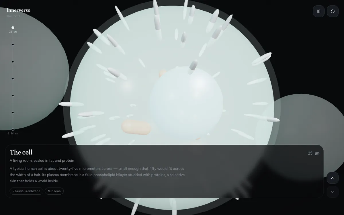 Innerverse screenshot: Zoom into a human cell in 3D, scale by scale