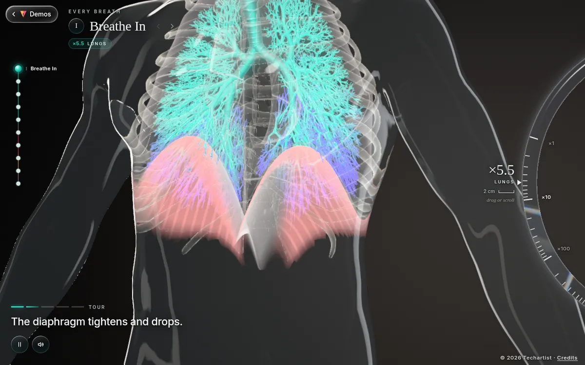 Breathing and Respiration screenshot: Run a 3D gas exchange simulation